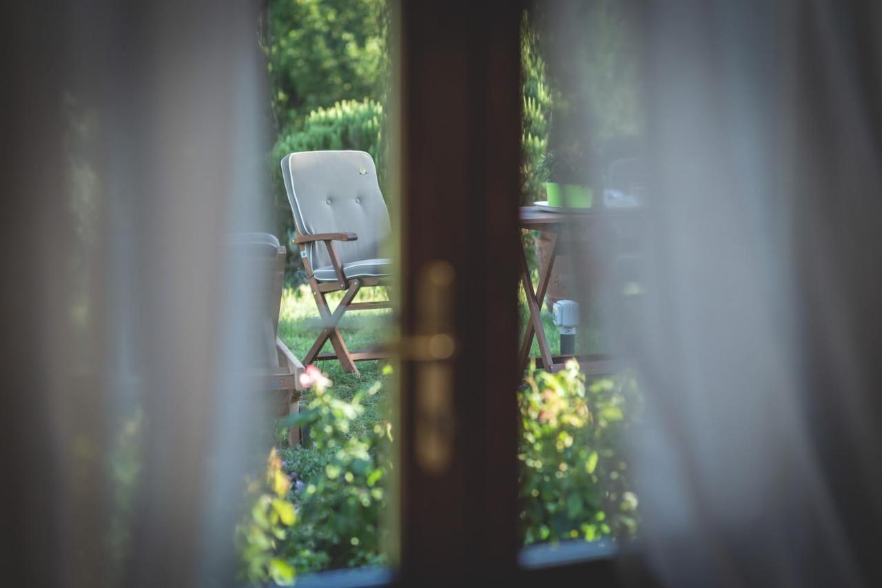 Gatto Rosso Bed & Breakfast Bolgheri Ngoại thất bức ảnh