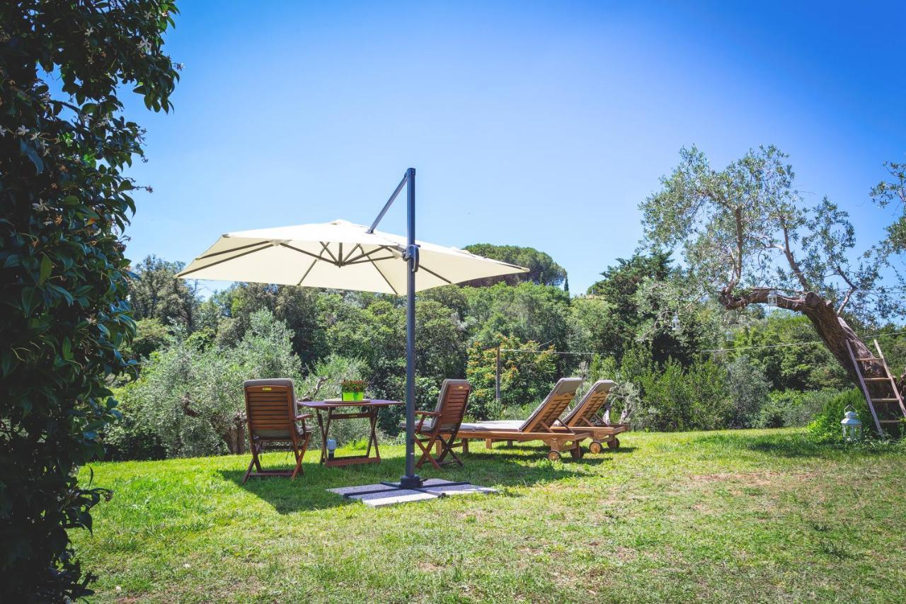 Gatto Rosso Bed & Breakfast Bolgheri Ngoại thất bức ảnh