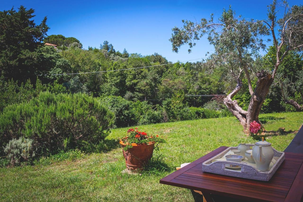 Gatto Rosso Bed & Breakfast Bolgheri Ngoại thất bức ảnh