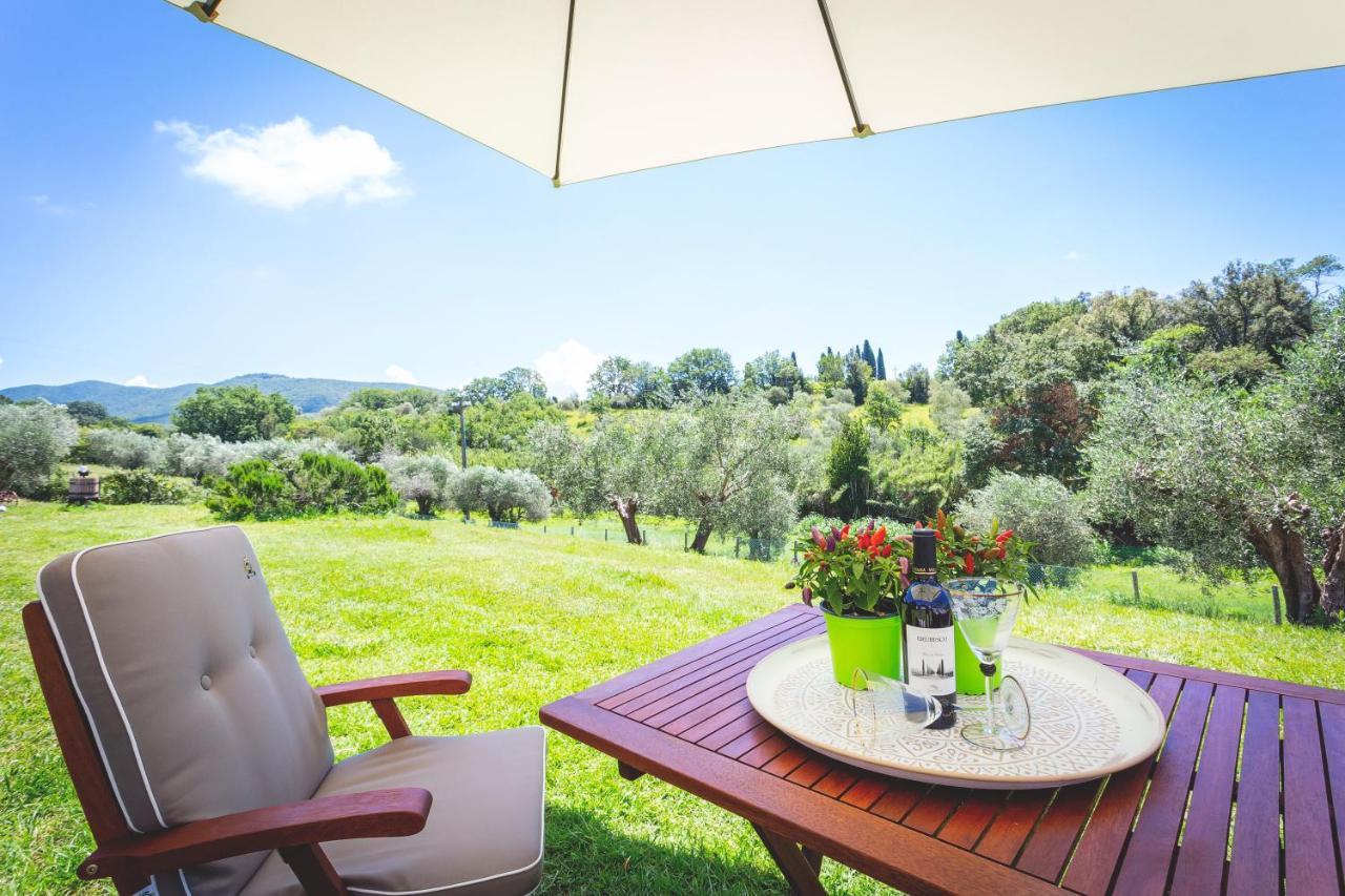 Gatto Rosso Bed & Breakfast Bolgheri Ngoại thất bức ảnh